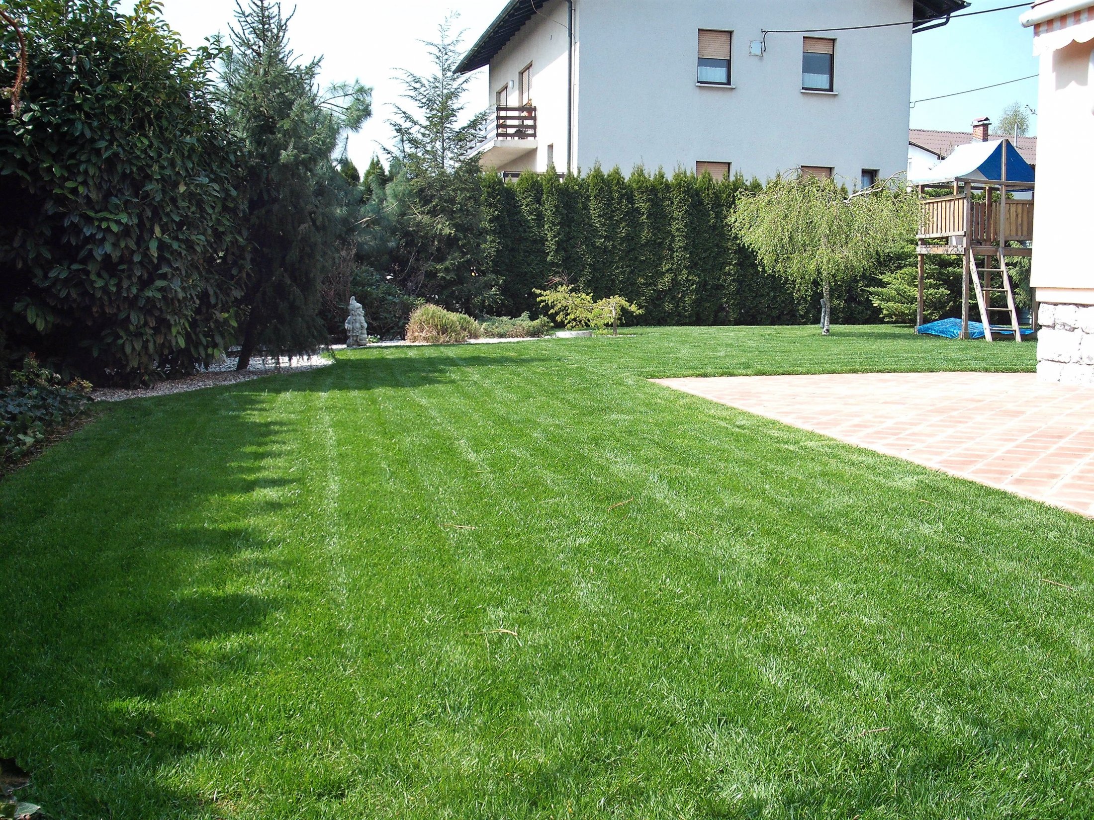 sveže pokošena zelenica